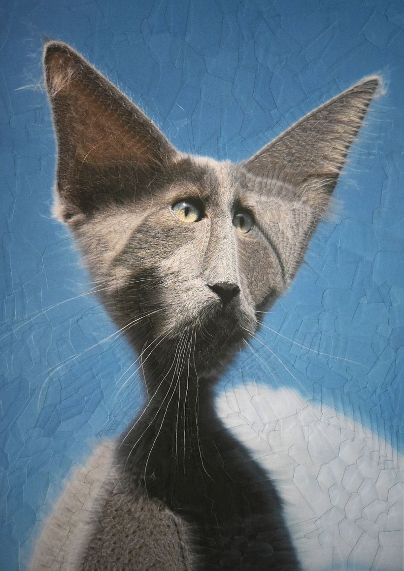 Ayla, 8,2 x 11,6 inch