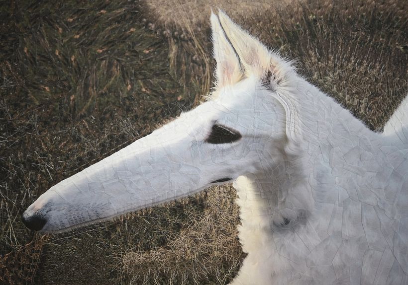 Noedels, 16,5 x 11,5 inch