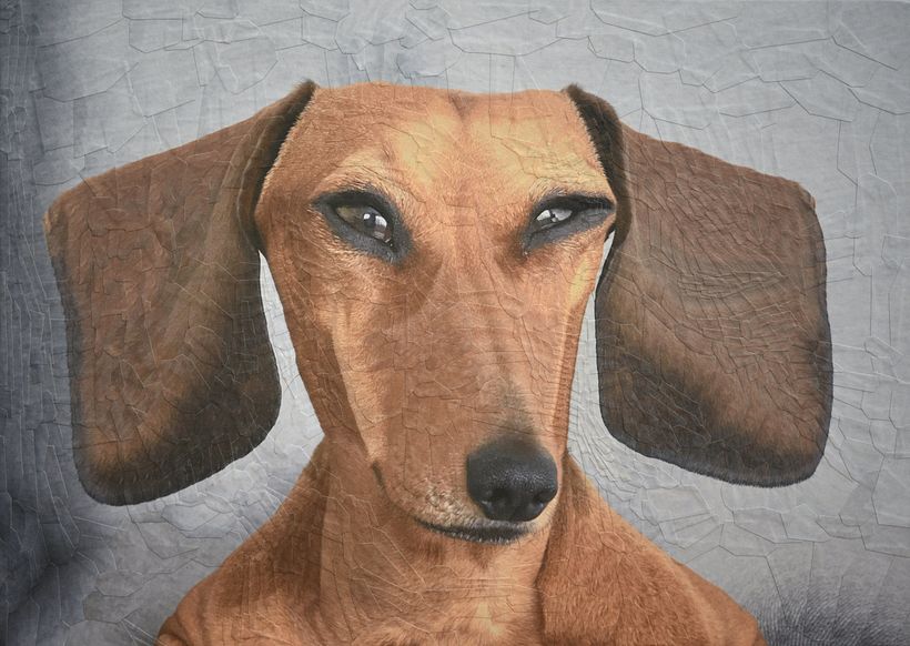 George de Worst, 11,6 x 8,2 inch