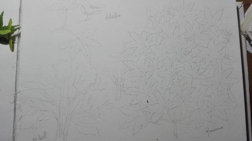 Mi Proyecto del curso: Cuaderno botánico en acuarela 1