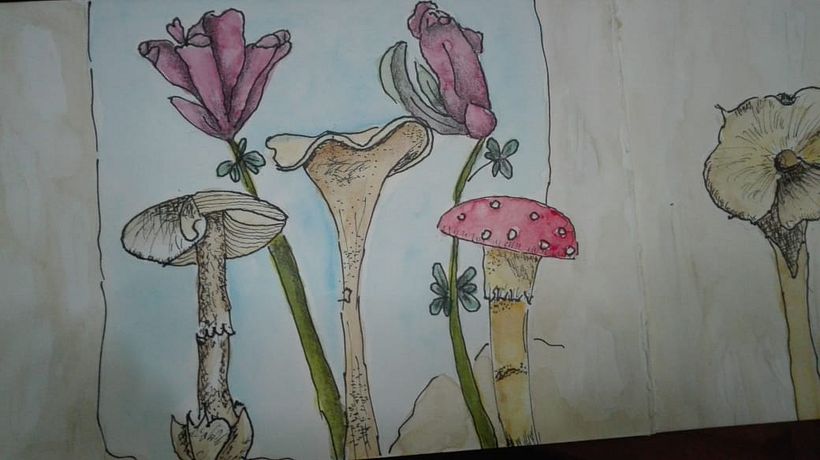 Mi Proyecto del curso: Cuaderno botánico en acuarela 5