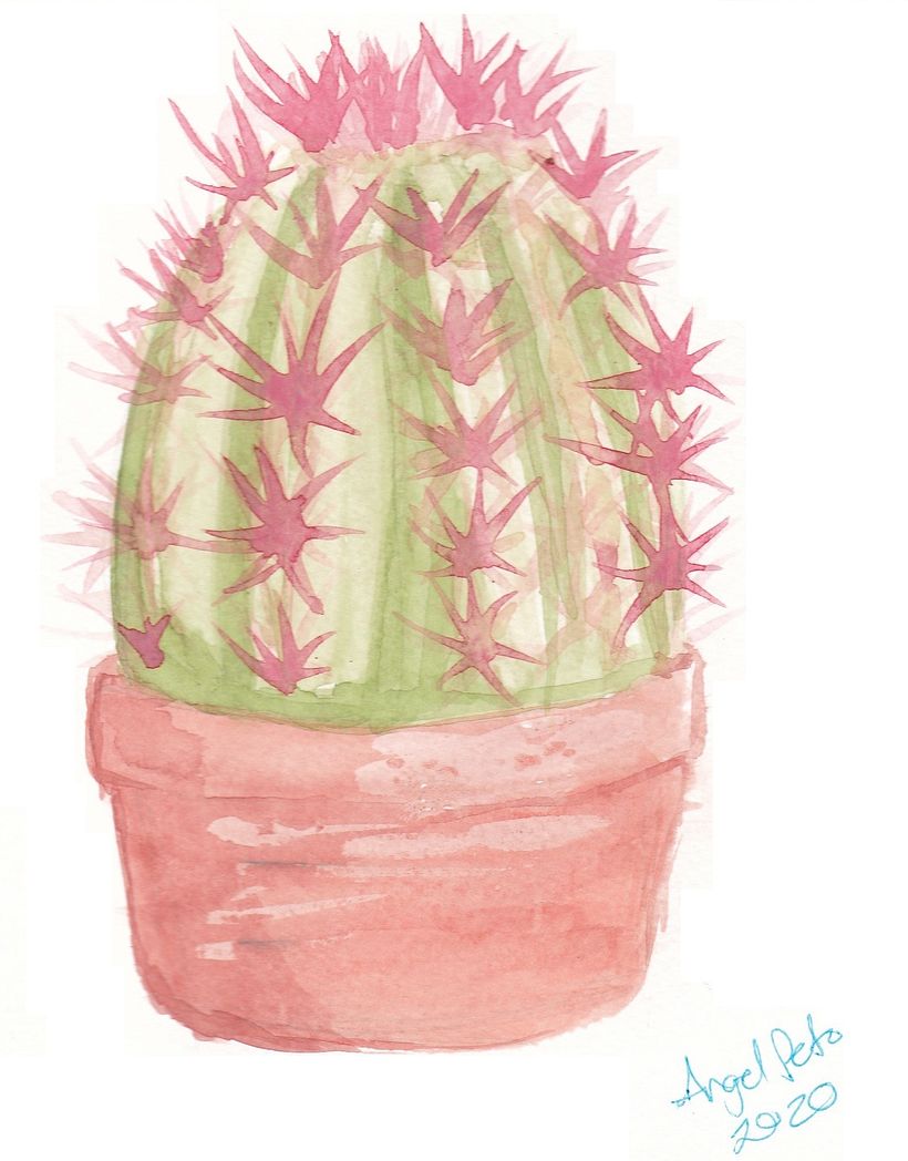 Cactus en maceta: solo acuarela 