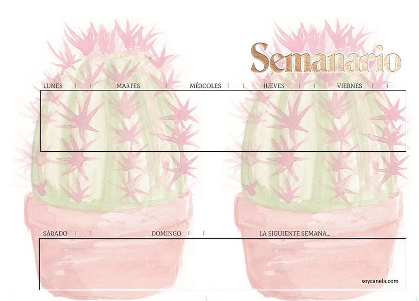 Template de semanario usando imagen de Cactus.