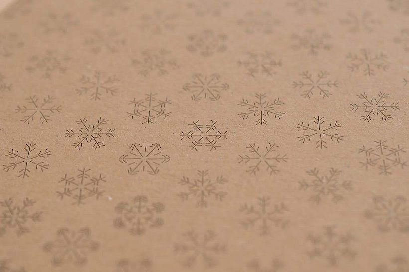 Cardboard Nature 5