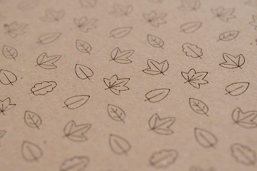 Cardboard Nature 4
