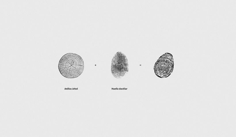 Óleo centenario · Aceite de oliva 2