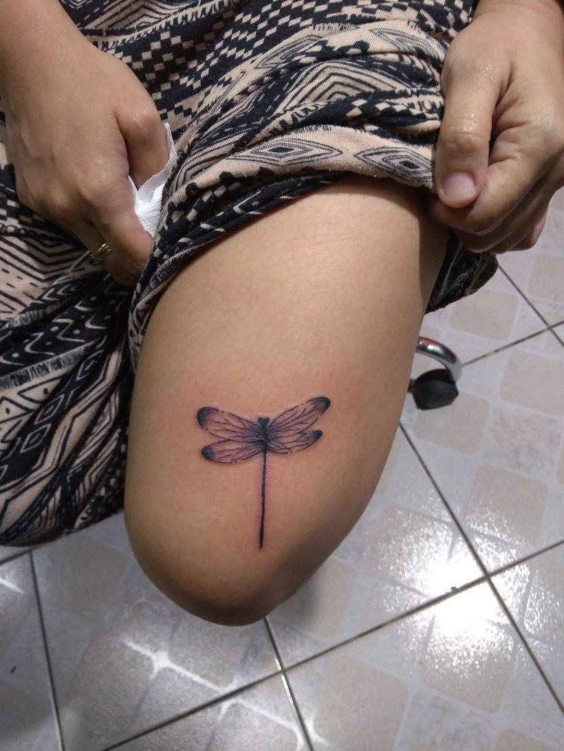 a Dragon Fly project as my final project