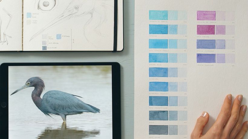Watercolor Tutorial: How To Create A Color Palette 5