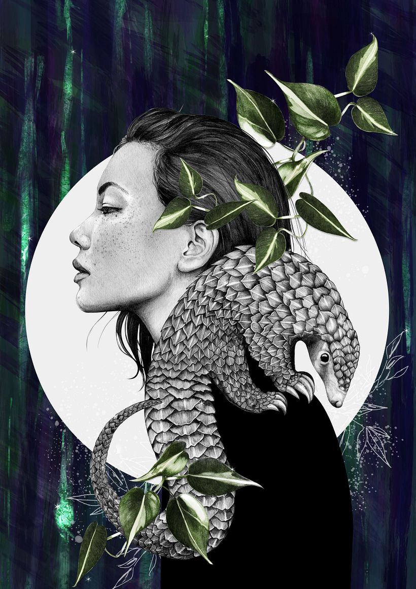 Plight of the Pangolin Illustration 0