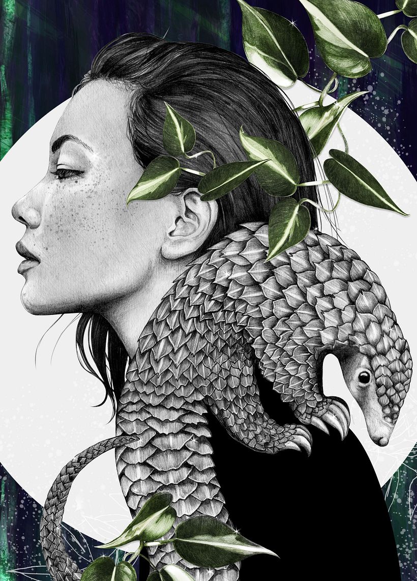 Plight of the Pangolin Illustration 1