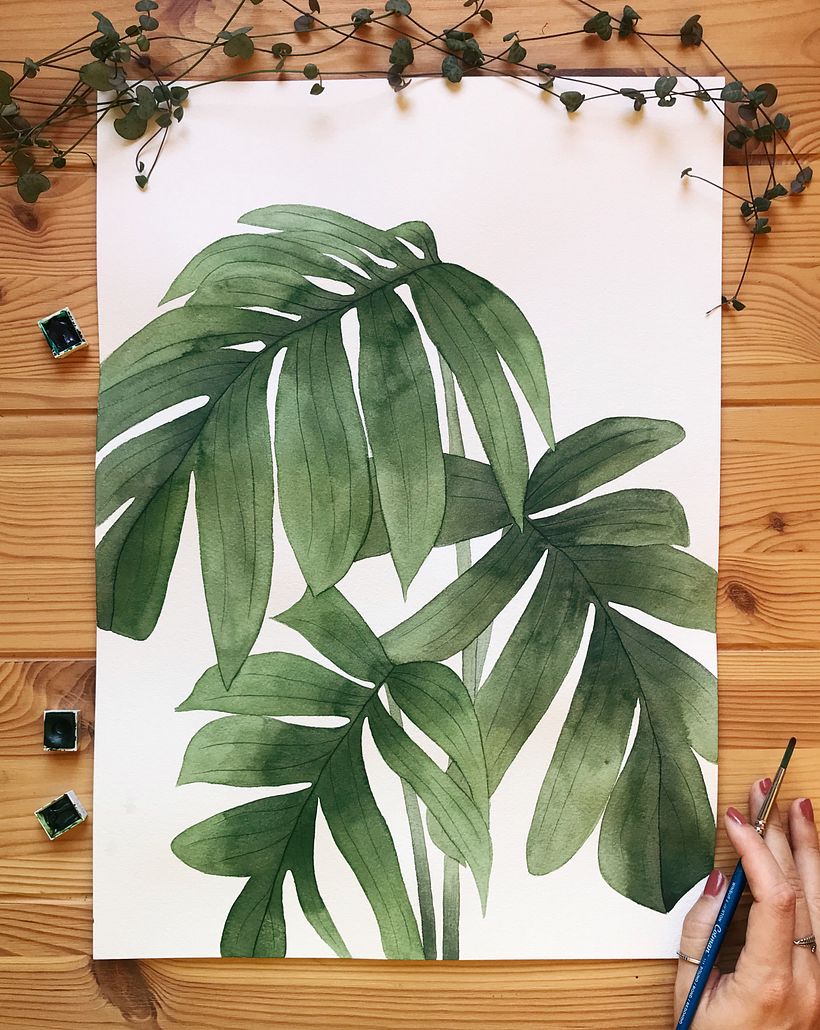 The colors of houseplants 8