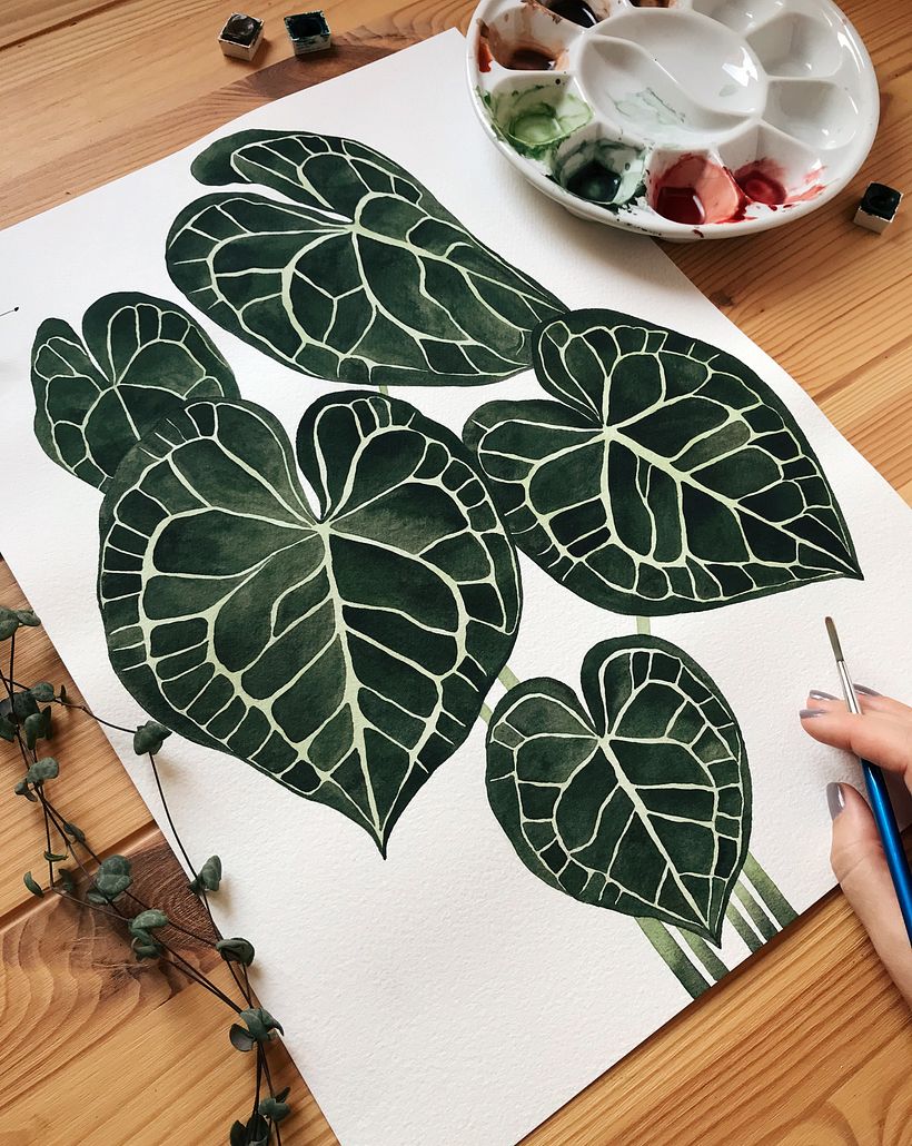 The colors of houseplants 2