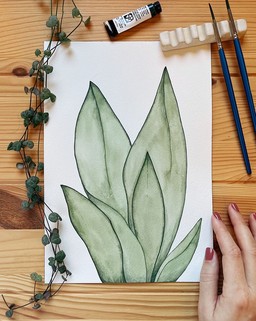 The colors of houseplants 7