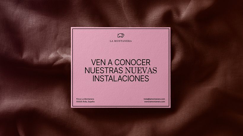 Mijn cursusproject: Logo-ontwerp: Master Grafische Synthese 3