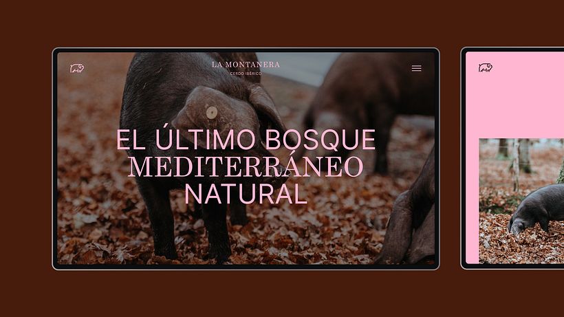 Mijn cursusproject: Logo-ontwerp: Master Grafische Synthese 6