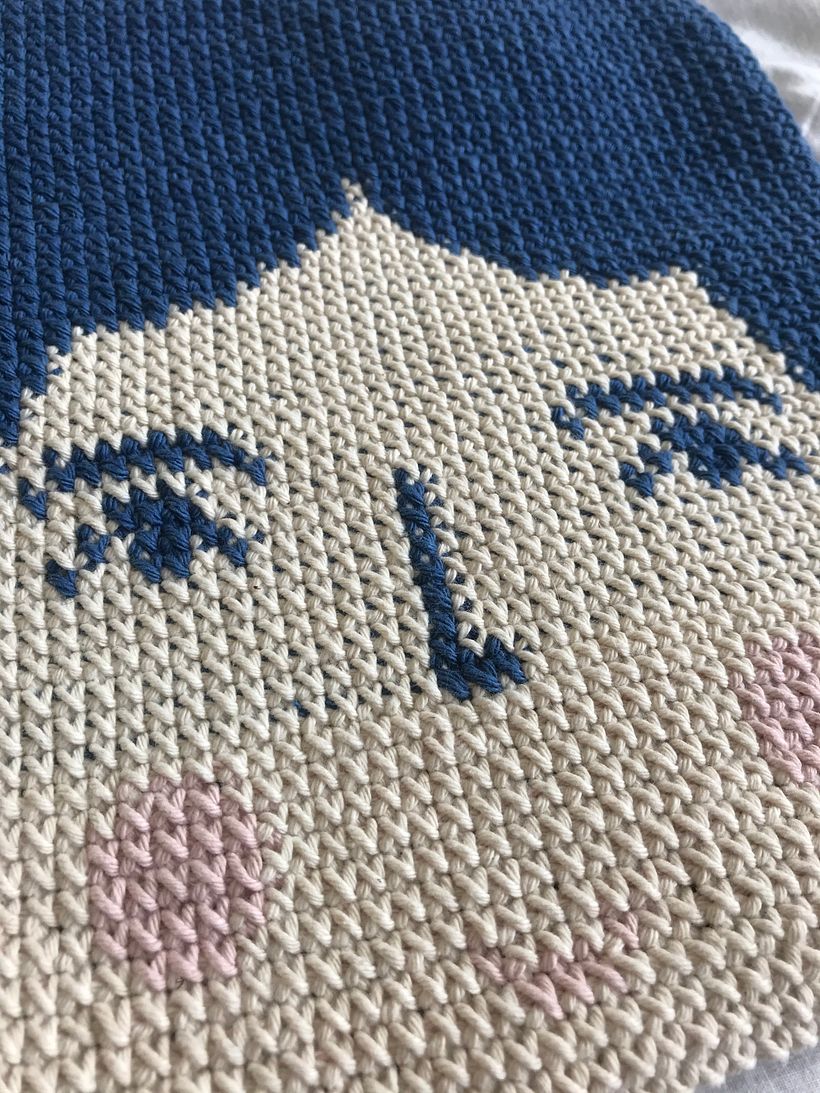 Colaboración junto a Jose Schargo 