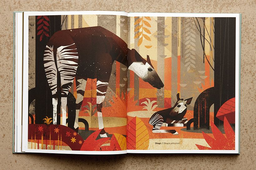 Animals of the South 2