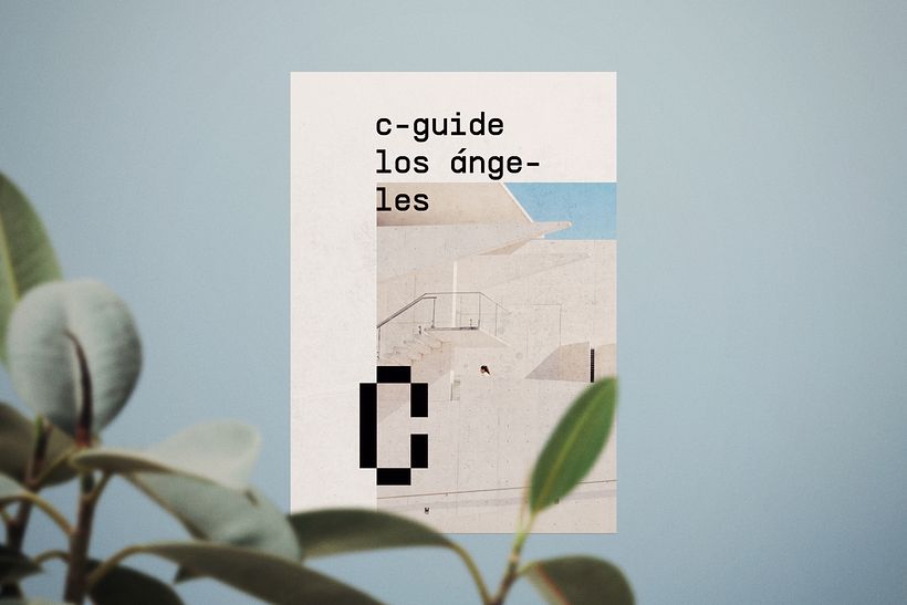 C-Guide 7