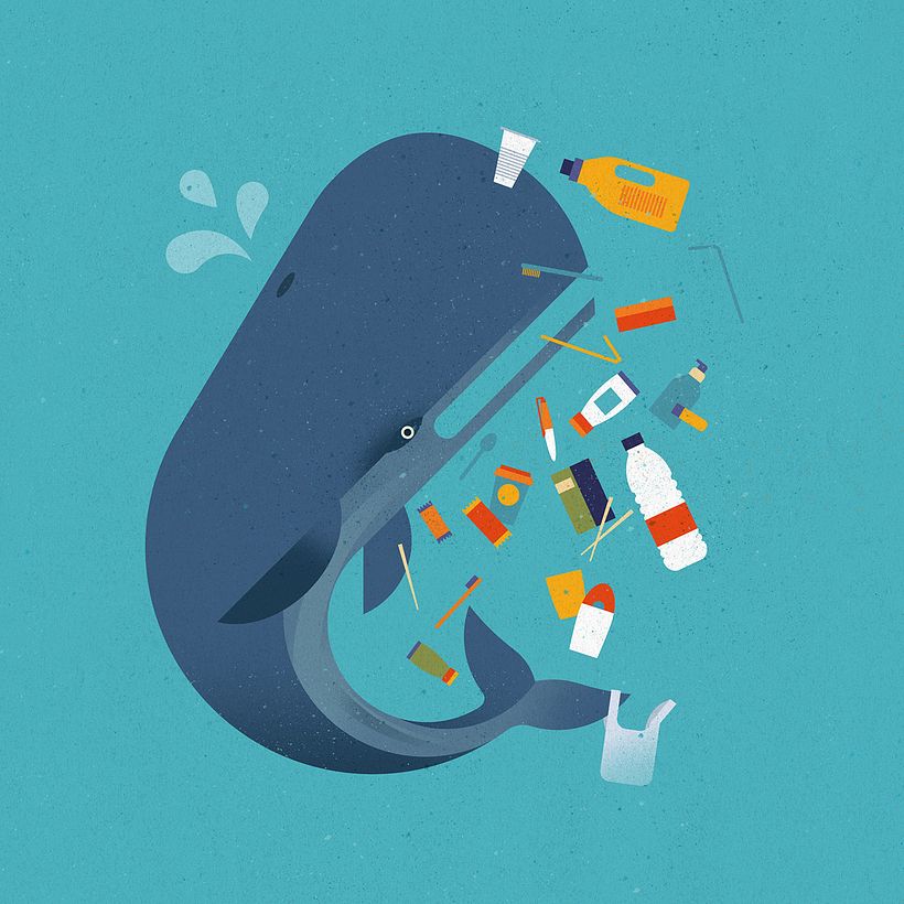 DM sustainability campaign 5