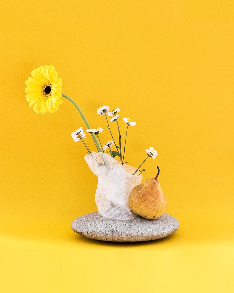 Flowers - Personal Project 0