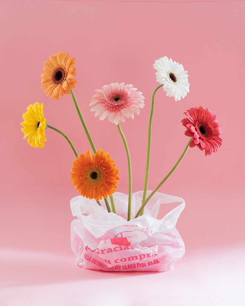 Flowers - Personal Project 1