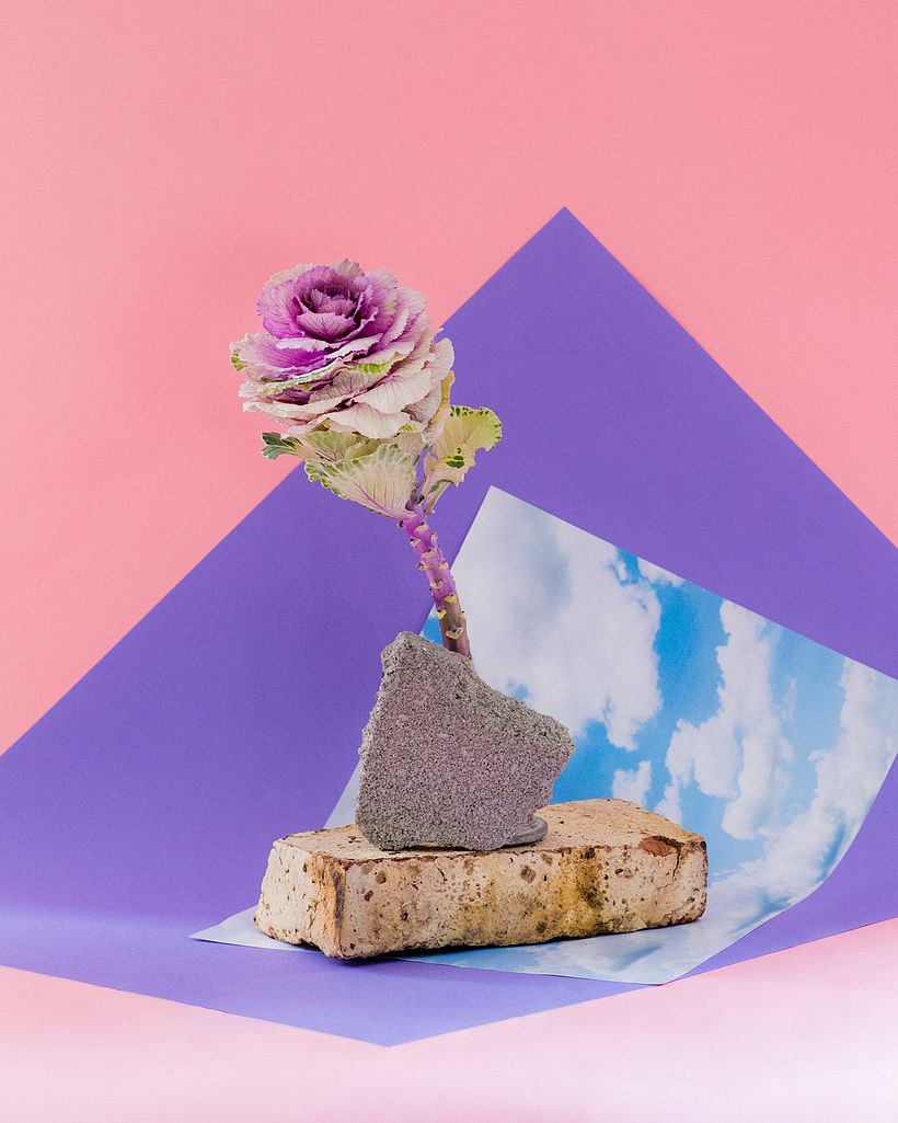 Flowers - Personal Project 2