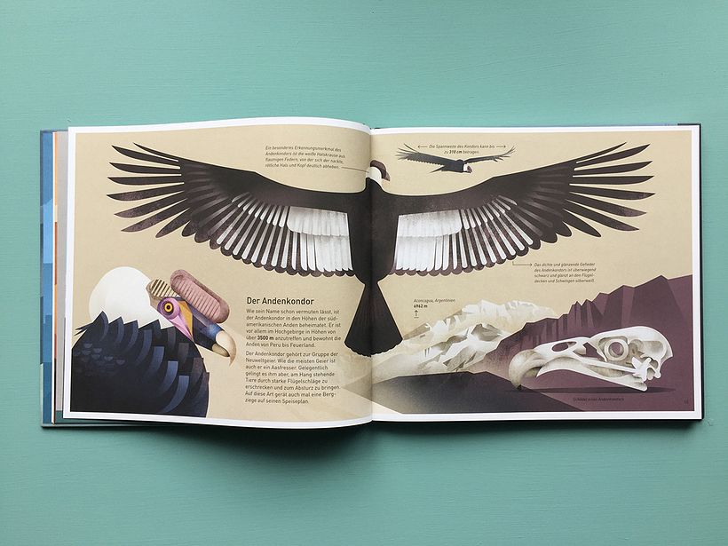 Mountains of the World 1