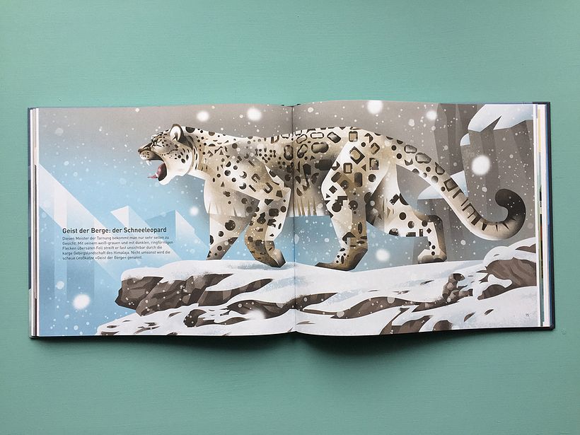 Mountains of the World 6