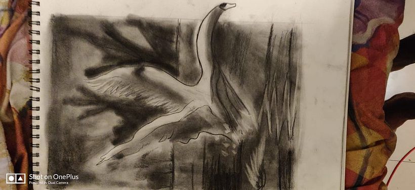 My project in The Art of Sketching: Transform Your Doodles into Art course 0