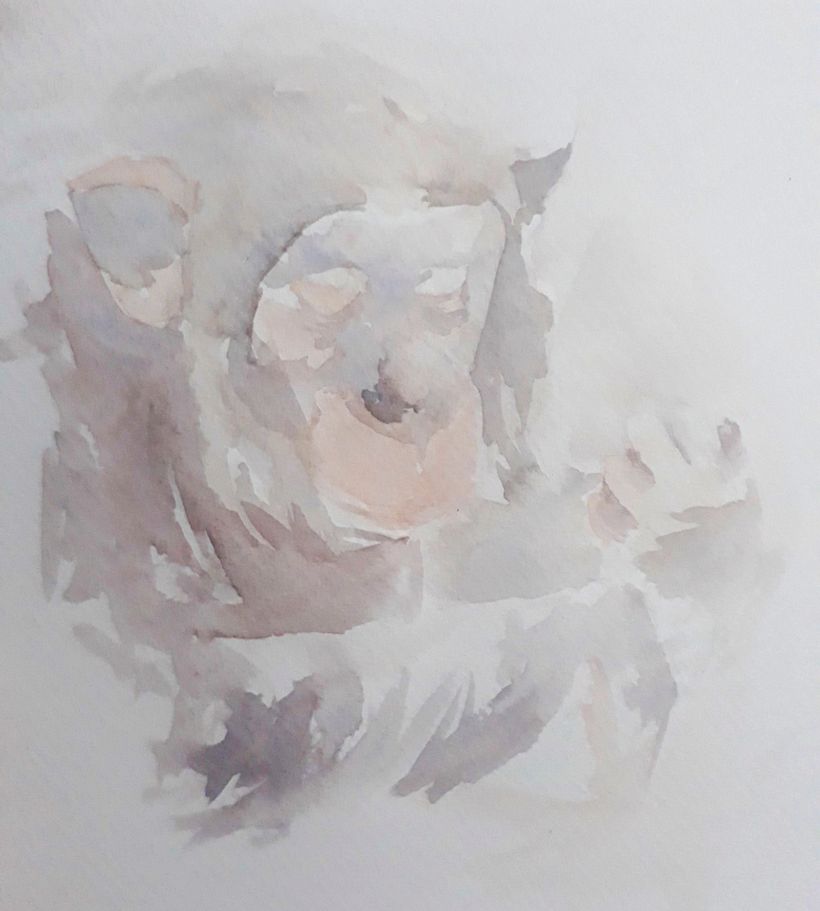 Mi Proyecto del curso: Técnicas experimentales de acuarela para principiantes  1