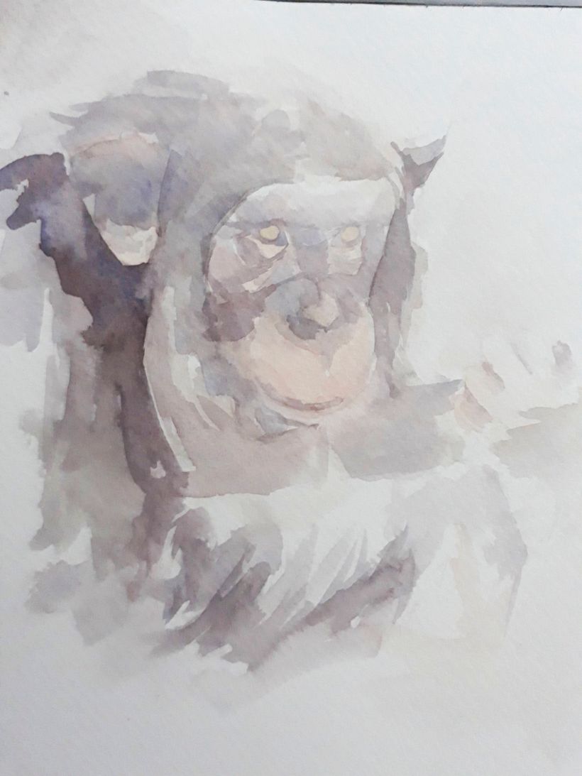 Mi Proyecto del curso: Técnicas experimentales de acuarela para principiantes  2