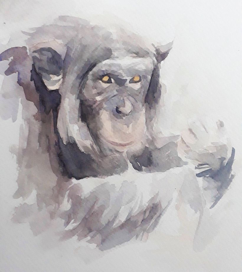 Mi Proyecto del curso: Técnicas experimentales de acuarela para principiantes  3