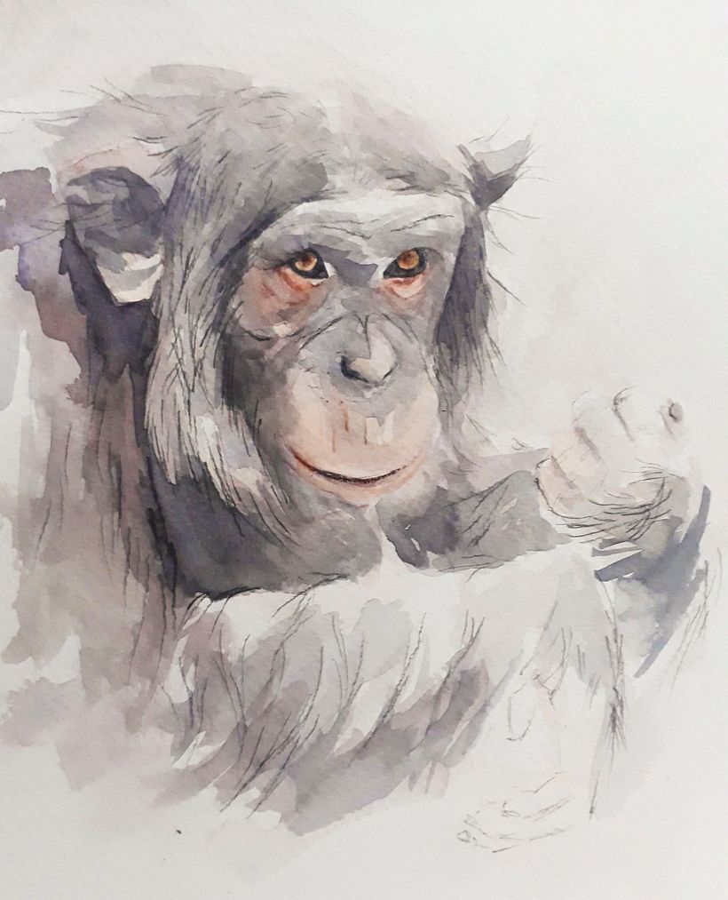 Mi Proyecto del curso: Técnicas experimentales de acuarela para principiantes  4