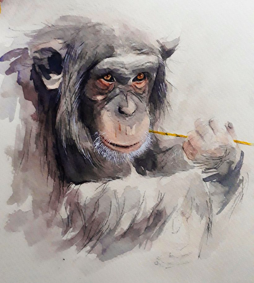 Mi Proyecto del curso: Técnicas experimentales de acuarela para principiantes  5