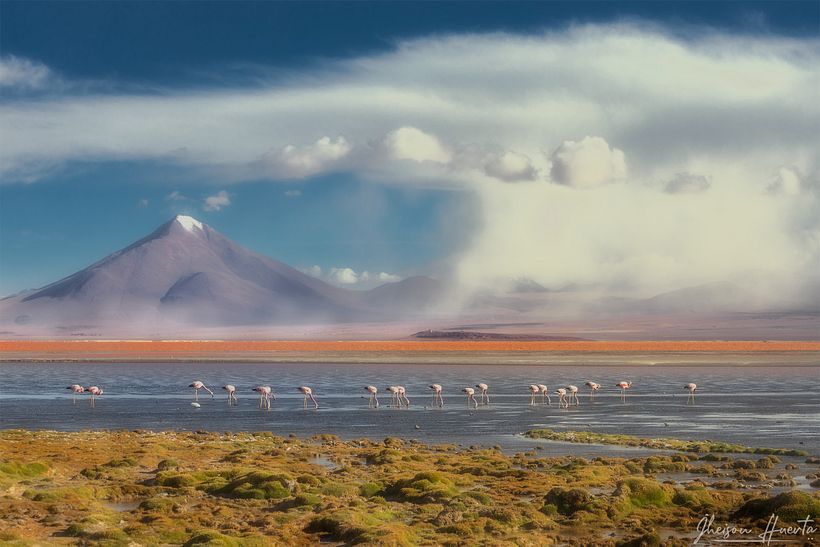 Tours fotográficos en Bolivia 5