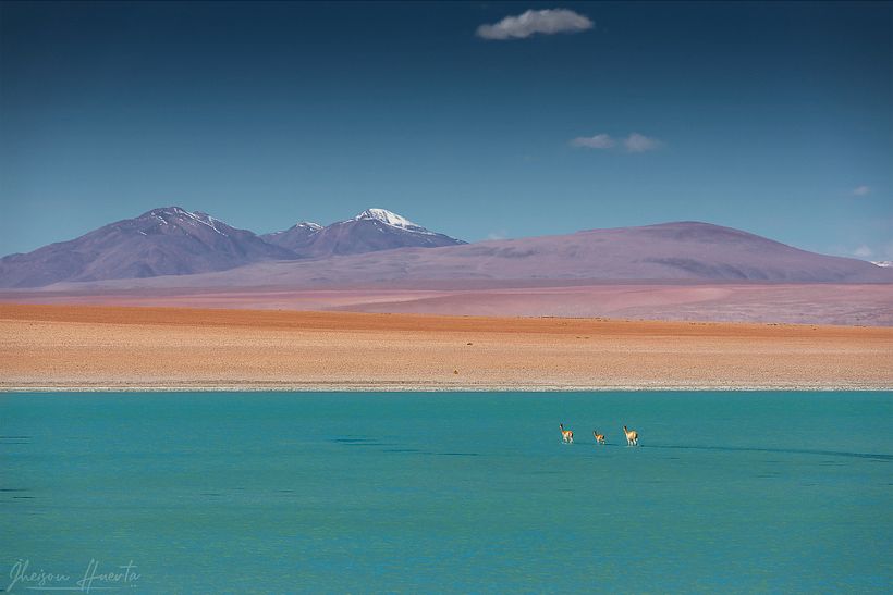 Tours fotográficos en Bolivia 6