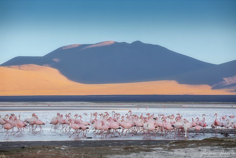Tours fotográficos en Bolivia 8