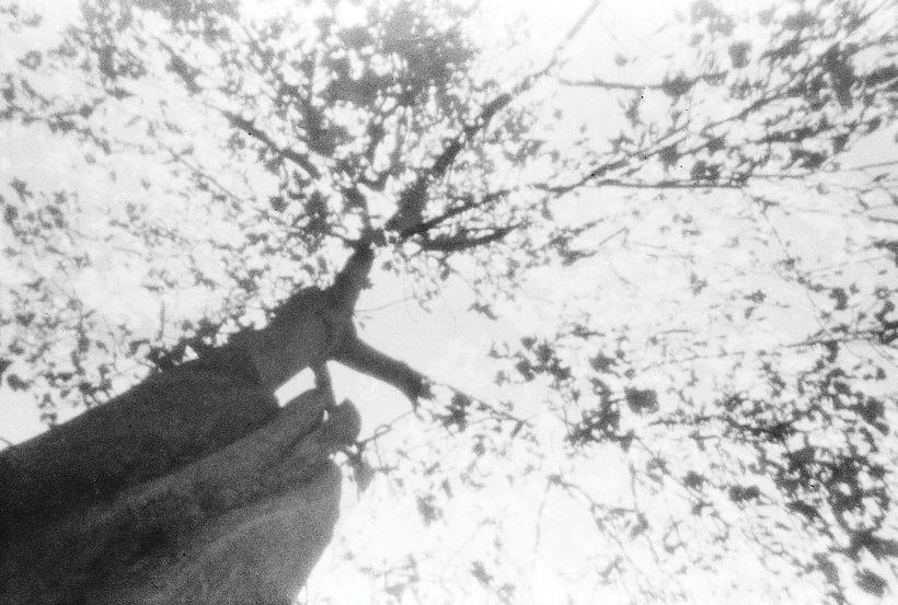 Mi Proyecto del curso: Fotografía estenopeica creando tu propia cámara -1