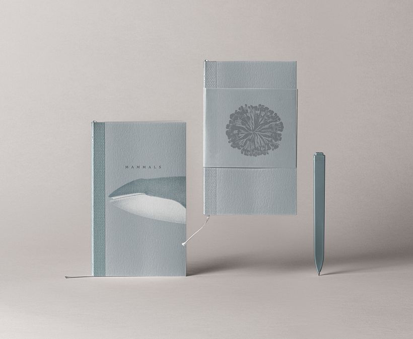 Moby Dick Stationery