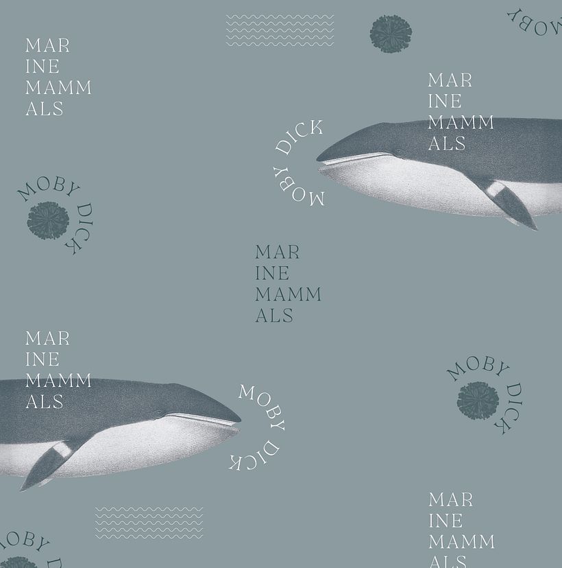 Moby Dick Pattern