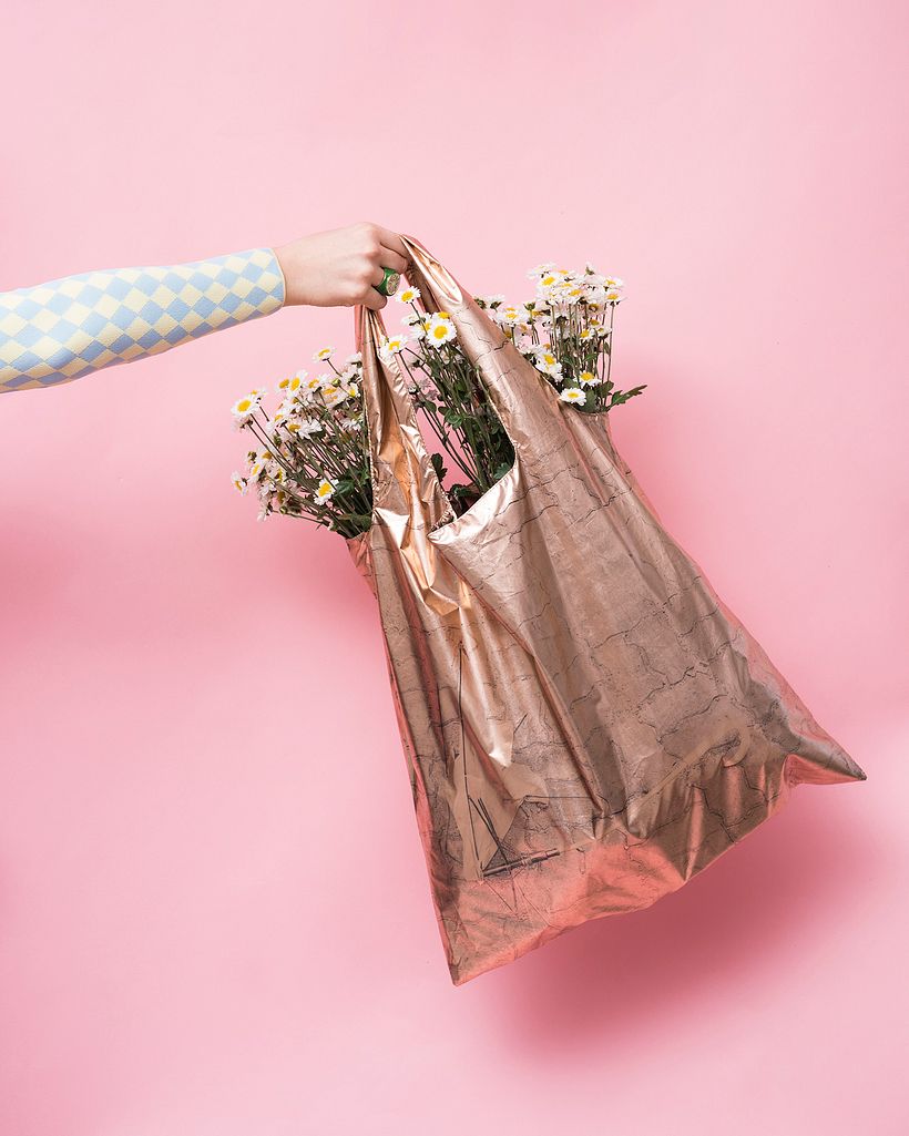 MS Bags 5