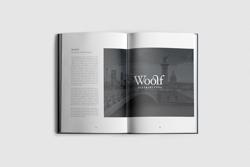 Woolf  9