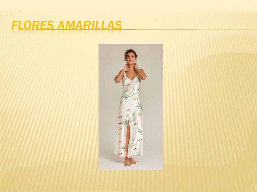 Mi Proyecto del curso: Creación de marca basada en tus propios estampados 1