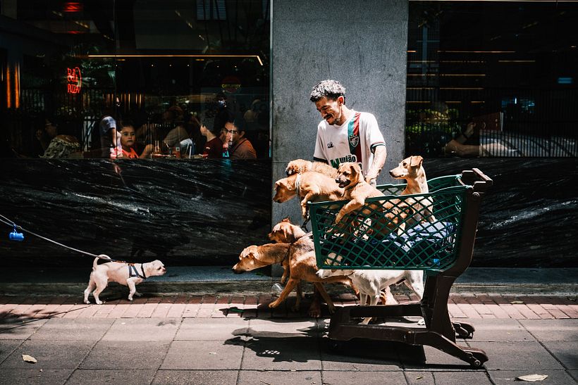 Projeto Final - São Paulo 3