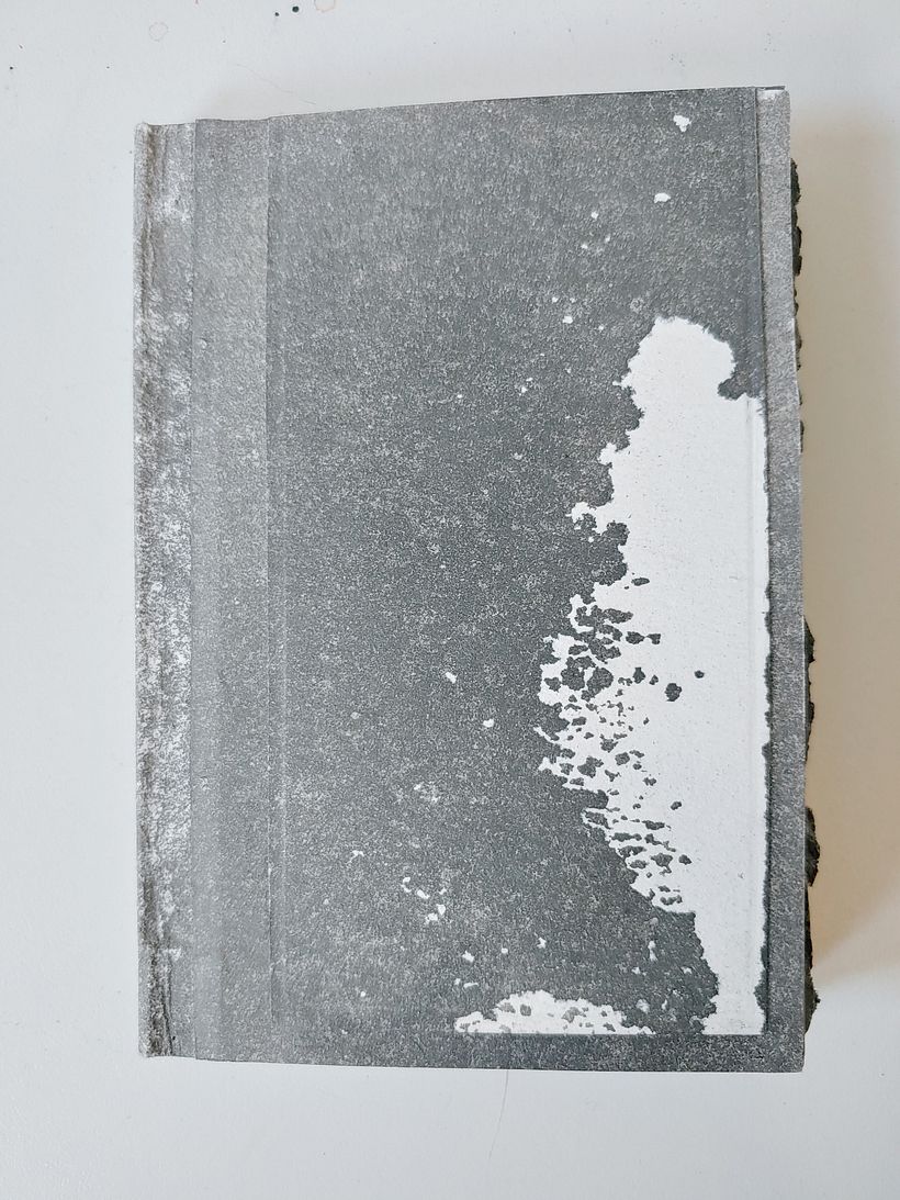 My project in Handmade Binding without Stitches course - Reliure
