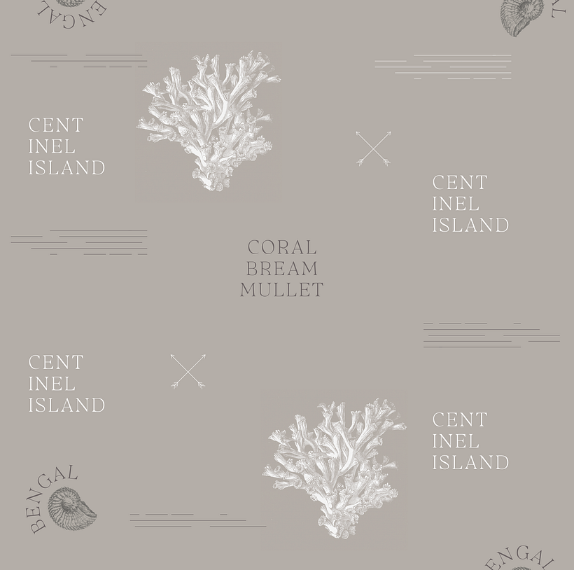 CORAL 3