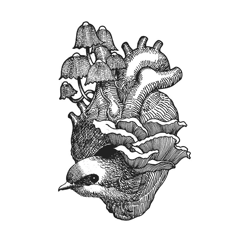 Corazones 2