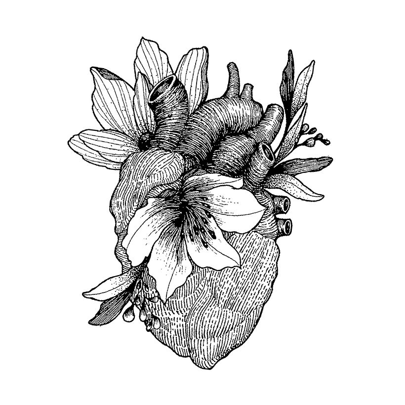 Corazones 5