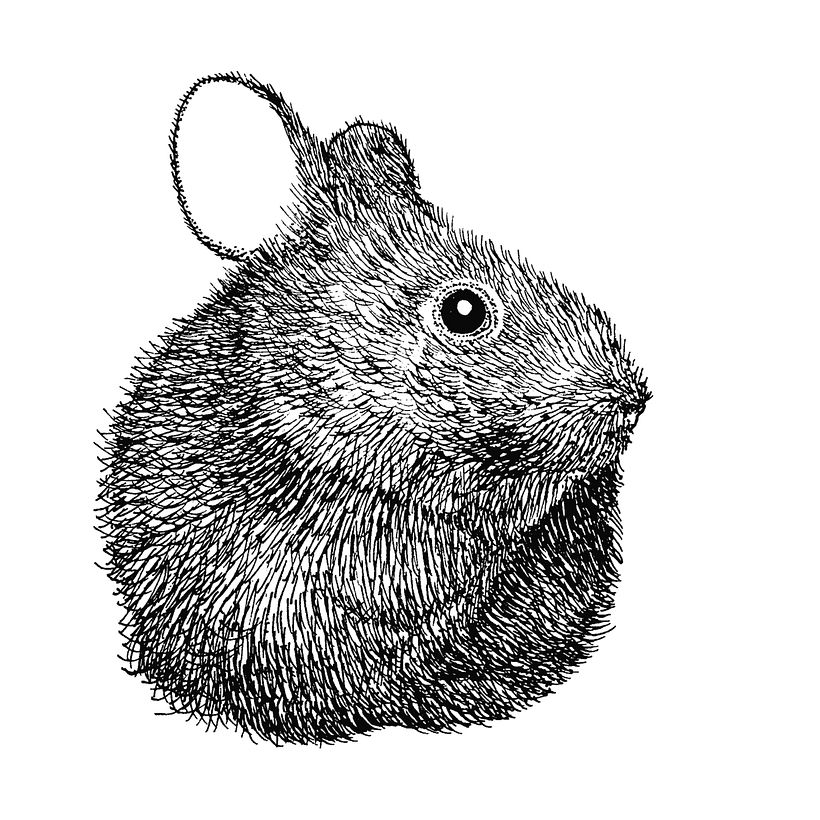 INKTOBER 1