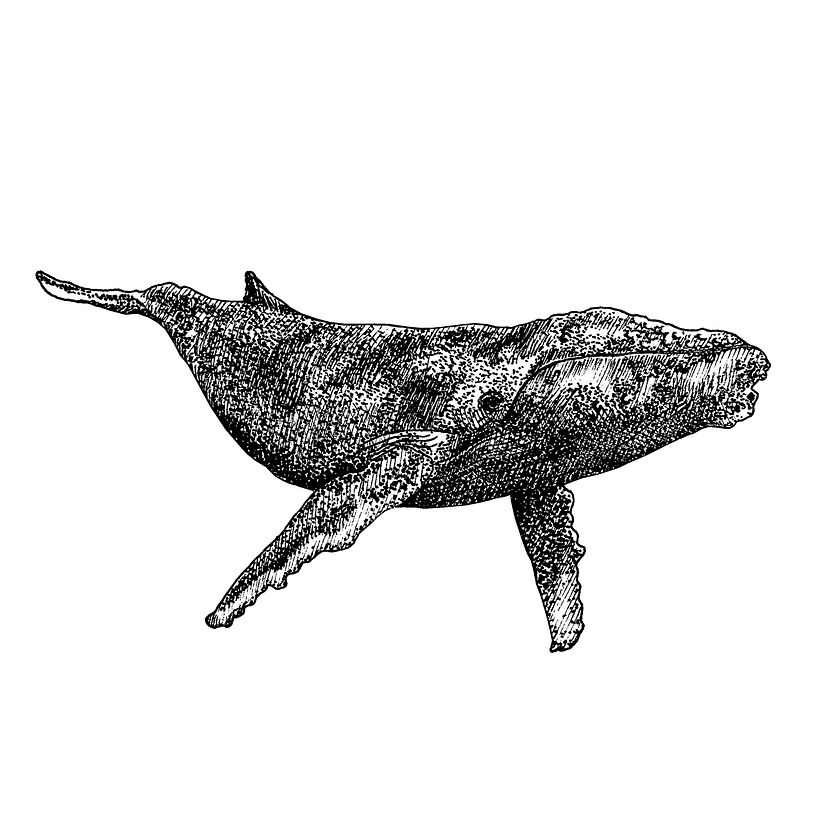 INKTOBER 9